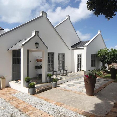 The Lily House Hotel Hermanus Luaran gambar